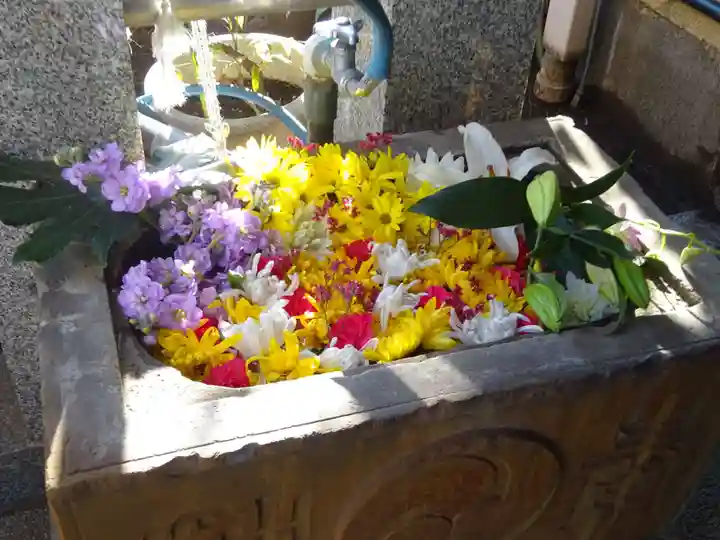 菊名神社の手水舎