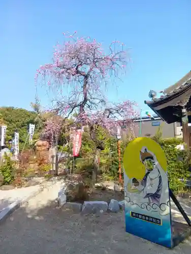間々観音（龍音寺）(愛知県)