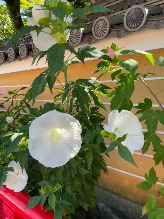 中山寺(兵庫県)