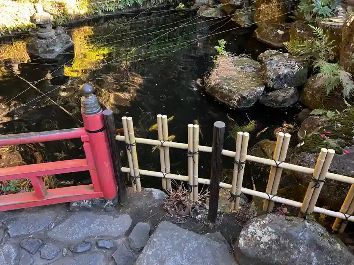 銭洗弁財天宇賀福神社の庭園