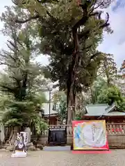 岩槻久伊豆神社(埼玉県)