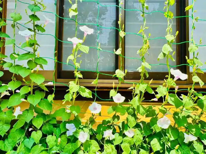 土津神社|こどもと出世の神さま(福島県)