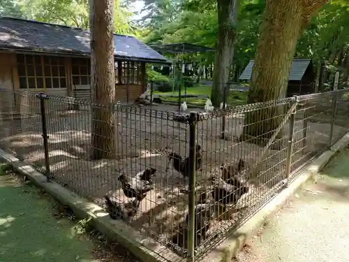 身曾岐神社(山梨県)