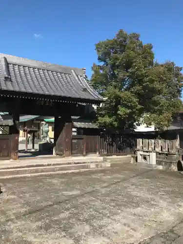 養泉寺の山門