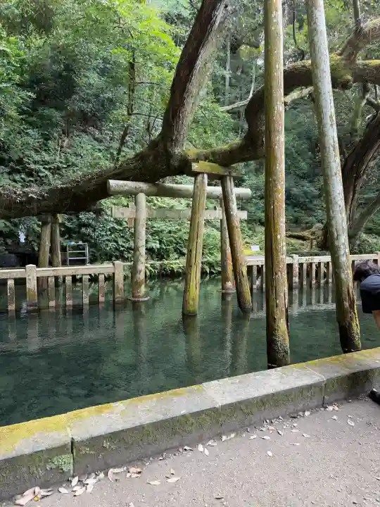 鹿島神宮(茨城県)