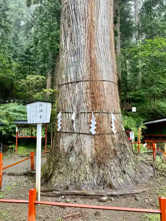 日光二荒山神社の自然