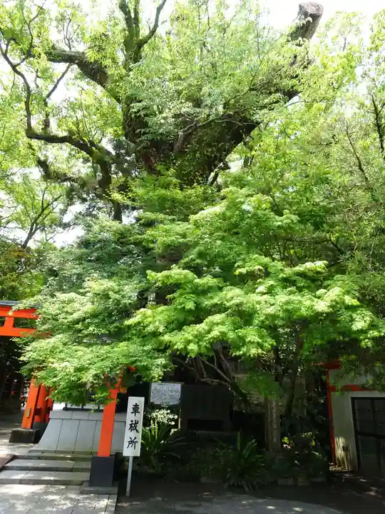 枚聞神社の自然