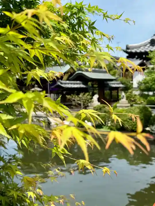 神泉苑(京都府)