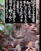 専念寺(大阪府)