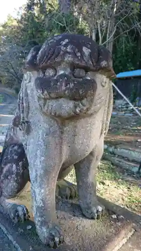 小幡八幡宮の狛犬