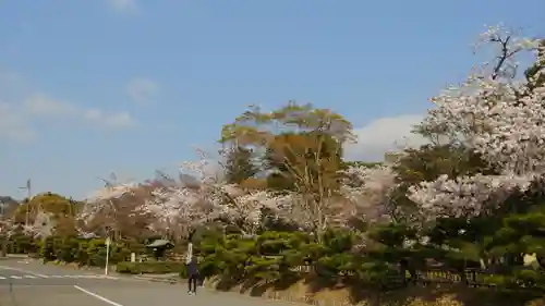 大覚寺の景色