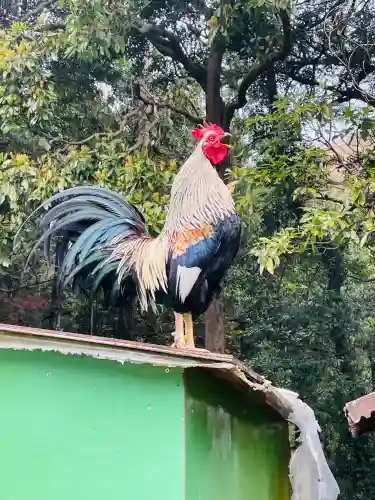 観音寺(神奈川県)