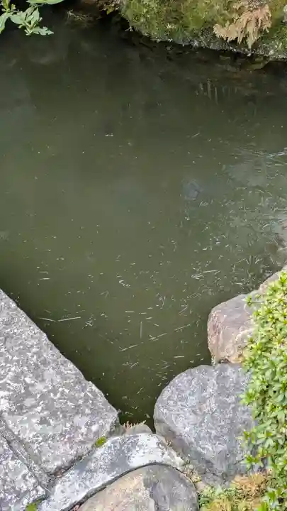 宝蔵寺(京都府)