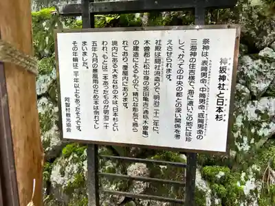 神坂神社(長野県)