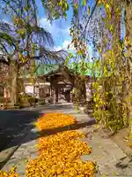 身照寺(岩手県)