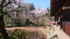 喜多院の庭園