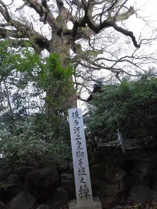 新熊野神社の自然