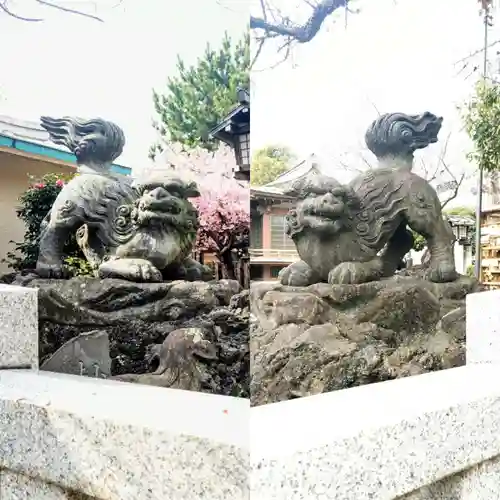 新宿下落合氷川神社の狛犬