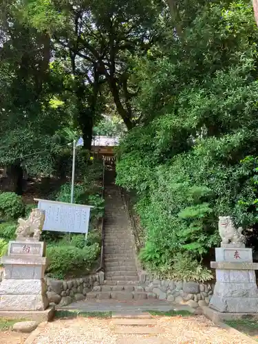 白鬚神社の狛犬