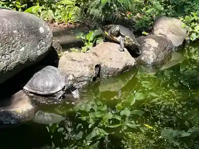 江島神社(神奈川県)