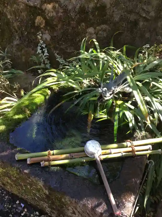 武田神社の手水舎