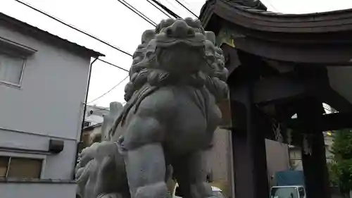 神楽坂若宮八幡神社の狛犬