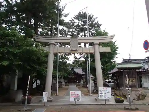 氷川神社の鳥居