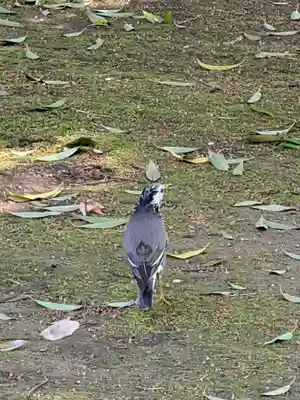 愛染院(東京都)