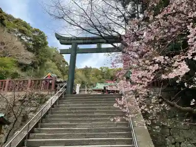 久能山東照宮の{uncategorized: "未分類", other: "その他", undefined: "問題あり", building: "その他建物", grave: "お墓", sacred_gate: "鳥居", guardian: "狛犬", statue: "像", buddha: "仏像", history: "歴史", nature: "自然", garden: "庭園", animal: "動物", pagoda: "塔", temizu: "手水舎", mountain_gate: "山門・神門", sanctuary: "本殿・本堂", subordinate: "末社・摂社", art: "芸術", scenery: "景色", jizo: "地蔵", ema: "絵馬", goshuin: "御朱印", omikuji: "おみくじ", items: "授与品その他", amulet: "お守り", goshuincho: "御朱印帳", eats: "食事", festival: "お祭り", votive_dance: "神楽", shichigosan: "七五三参", wedding: "結婚式", experience: "体験その他", initially: "初詣", around: "周辺", anti_infection: "感染症対策"}