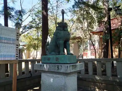 平塚八幡宮の狛犬