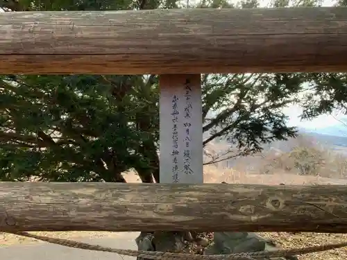 諏訪神社(真田本城跡)の鳥居