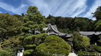 修禅寺(静岡県)