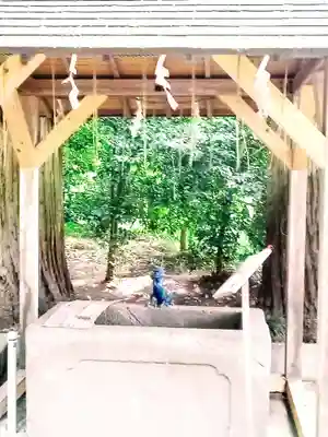 宮原八幡宮の手水舎