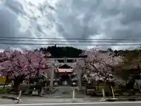 春日神社(京都府)