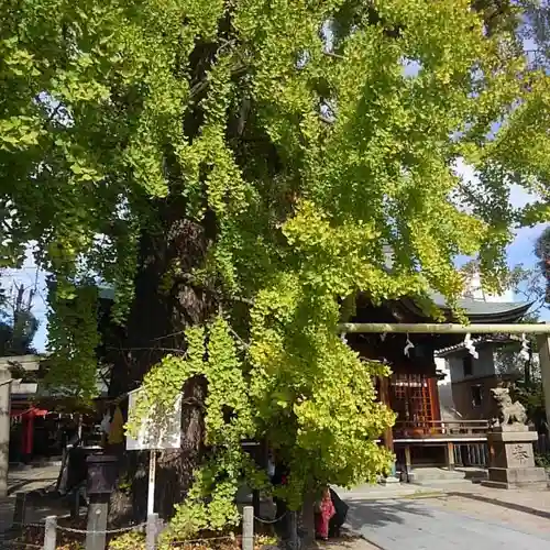 白山神社の自然