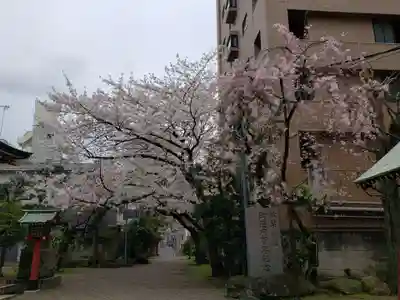 秋葉神社(東京都)