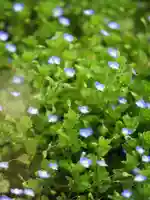 浄土寺(兵庫県)