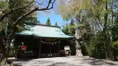 横山八幡宮の本殿