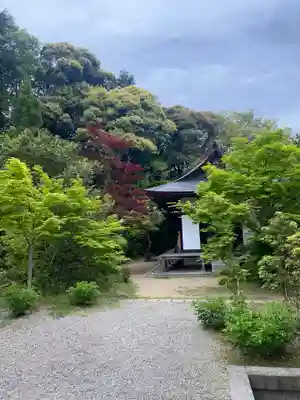 円成寺(奈良県)