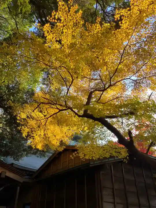 本土寺(千葉県)