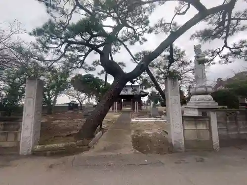東光寺のその他建物