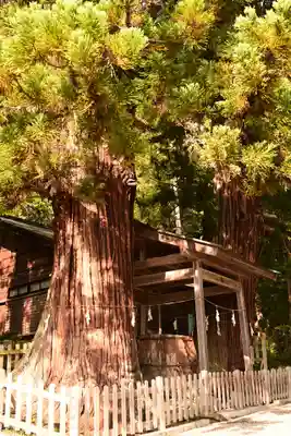 仁科神明宮(長野県)