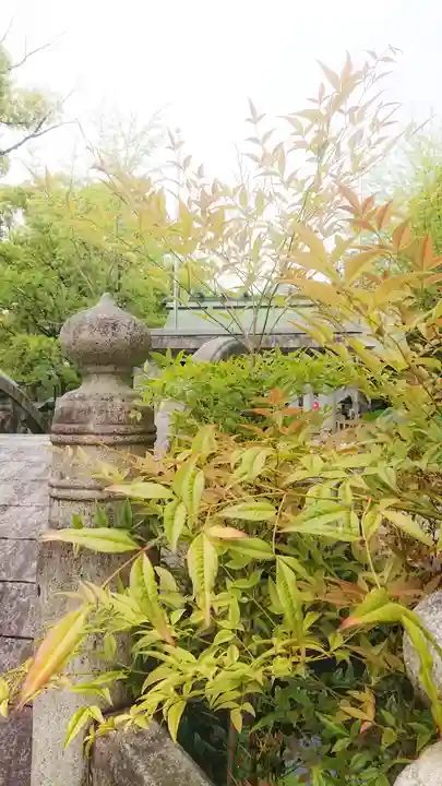 若宮神明社の自然