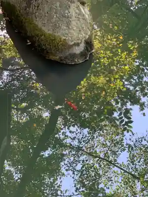 花巻神社(岩手県)