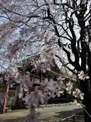 南養寺の本殿・本堂