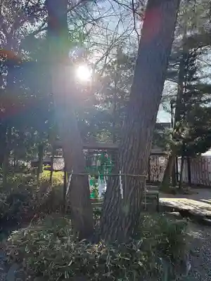 櫻木神社(千葉県)
