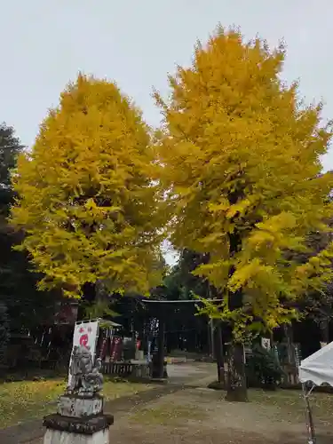 大神神社(栃木県)