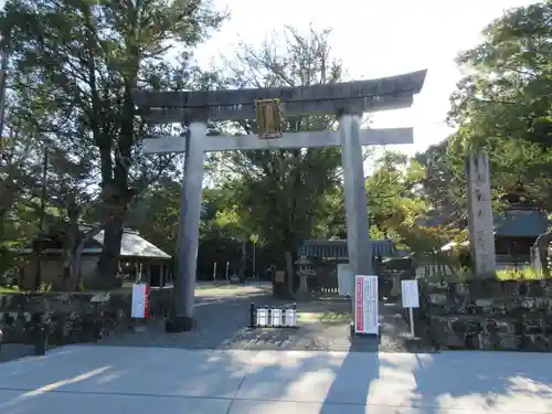 闘鶏神社の鳥居