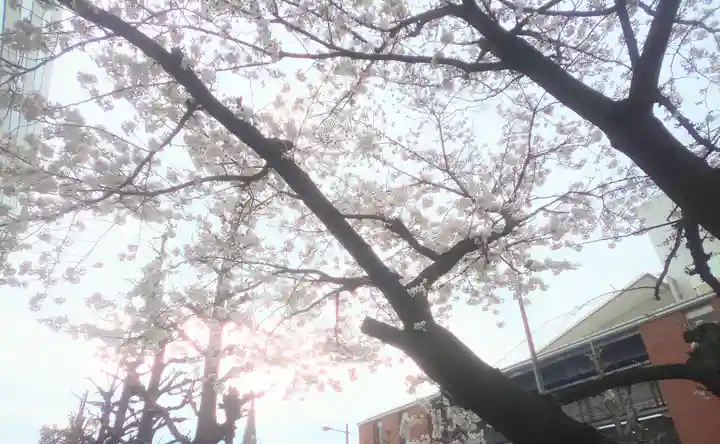 久留米宗社 日吉神社の自然