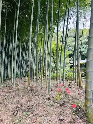 英勝寺(神奈川県)